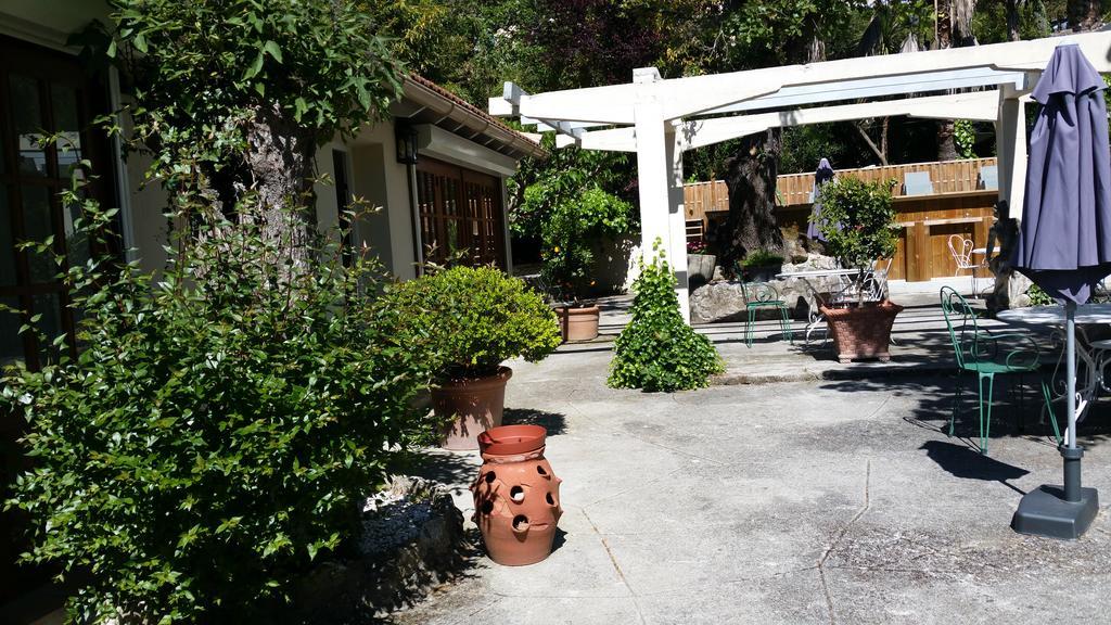 Le Clos Du Loup La Colle-sur-Loup Exterior photo